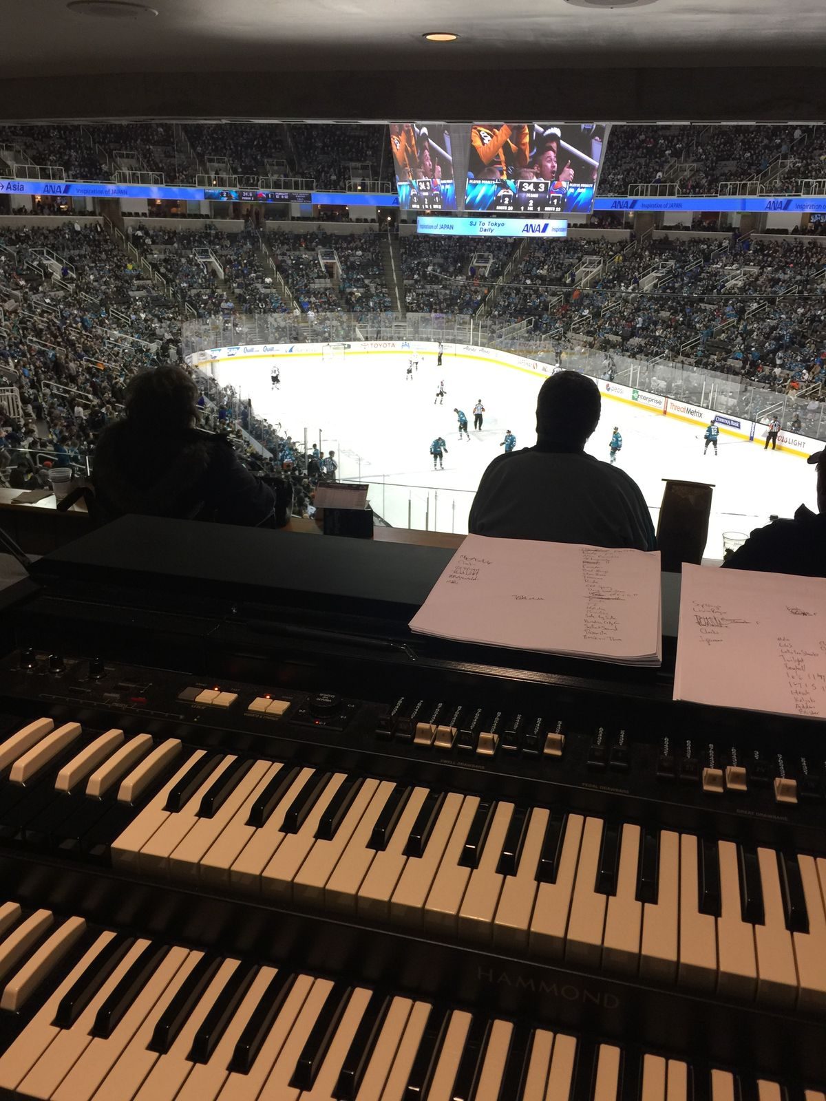 View of the arena from the Sharks organ